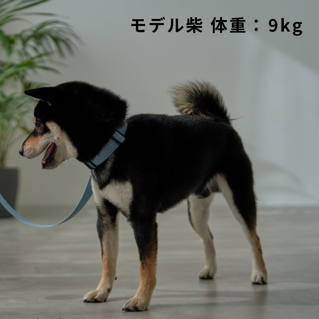 inuno. × 湖中そう 首輪 「柴だらけ」フィンランドブルー