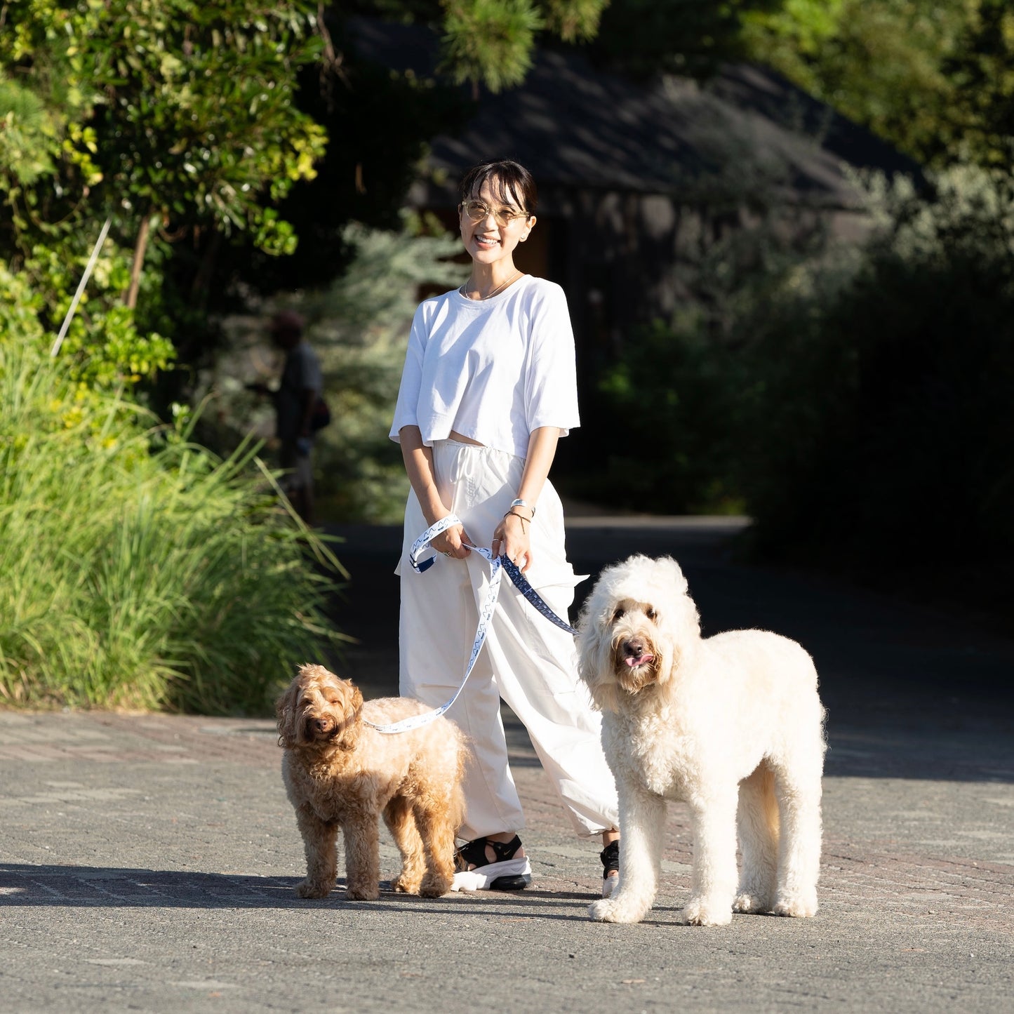 リード 「dogsheds」ホワイト