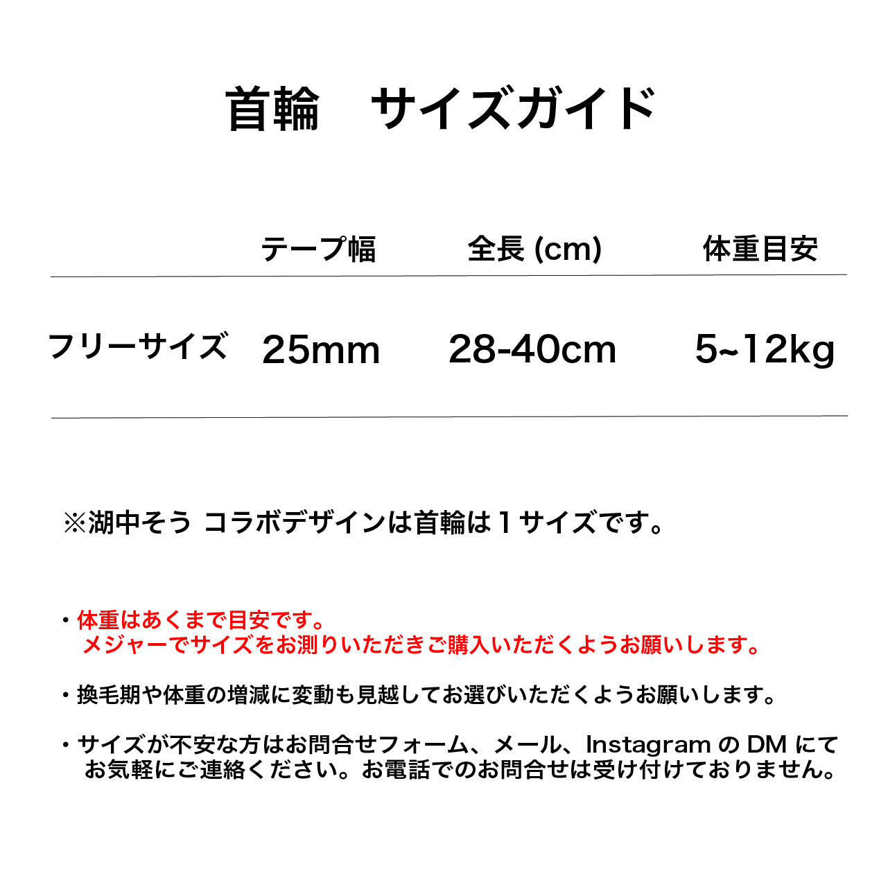 inuno. × 湖中そう 首輪 「柴だらけ」フィンランドブルー