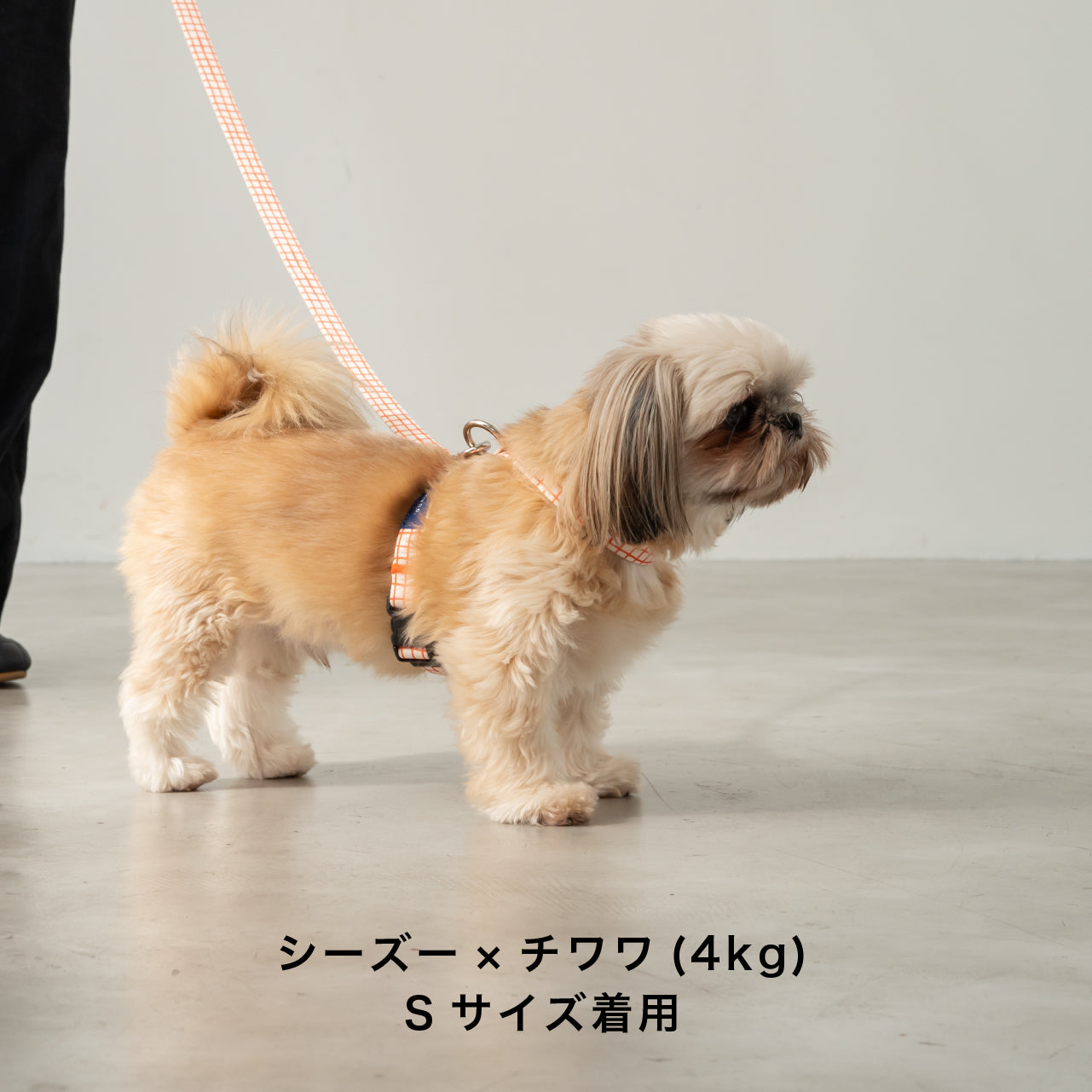 8の字ハーネス Windowcheck アイボリー×オレンジ