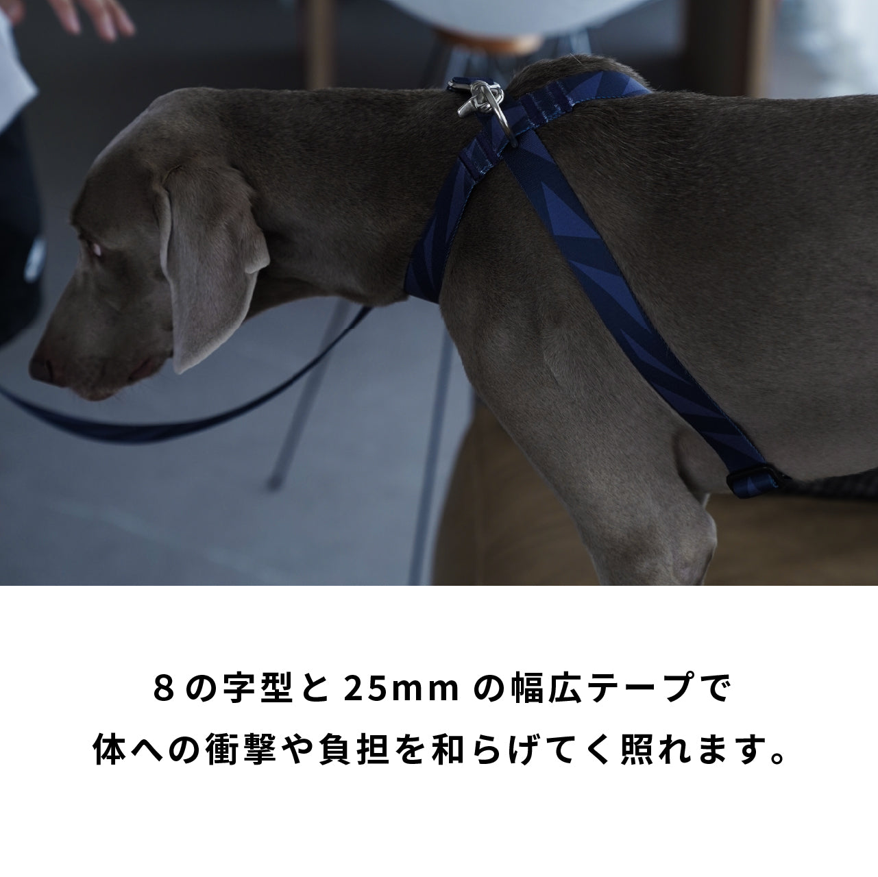 ハーネス8の字型「geometric」ネイビー