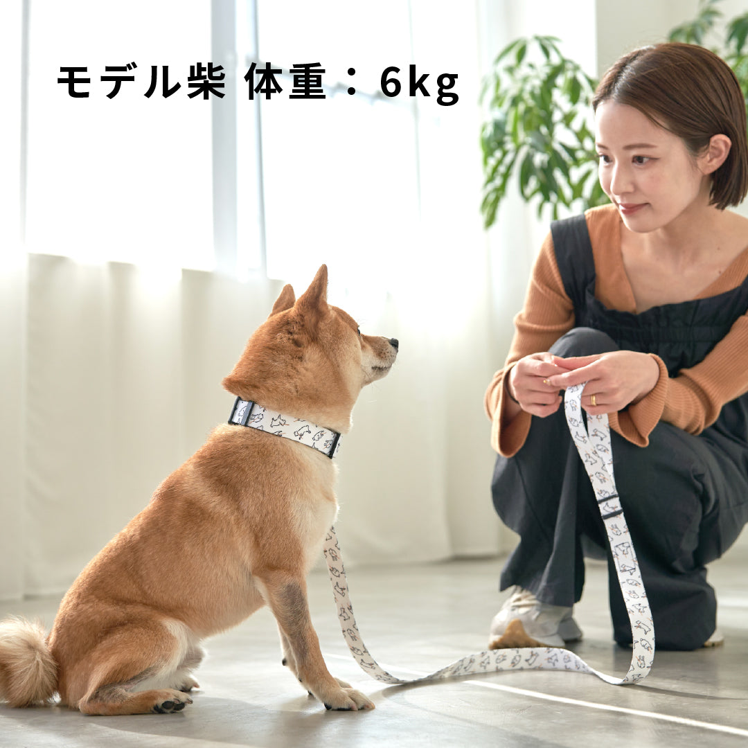 inuno. × 湖中そう 首輪 「拒否柴」ホワイト