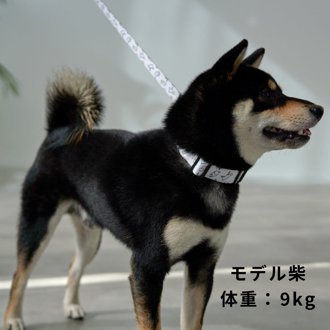 inuno. × 湖中そう 首輪 「拒否柴」ホワイト