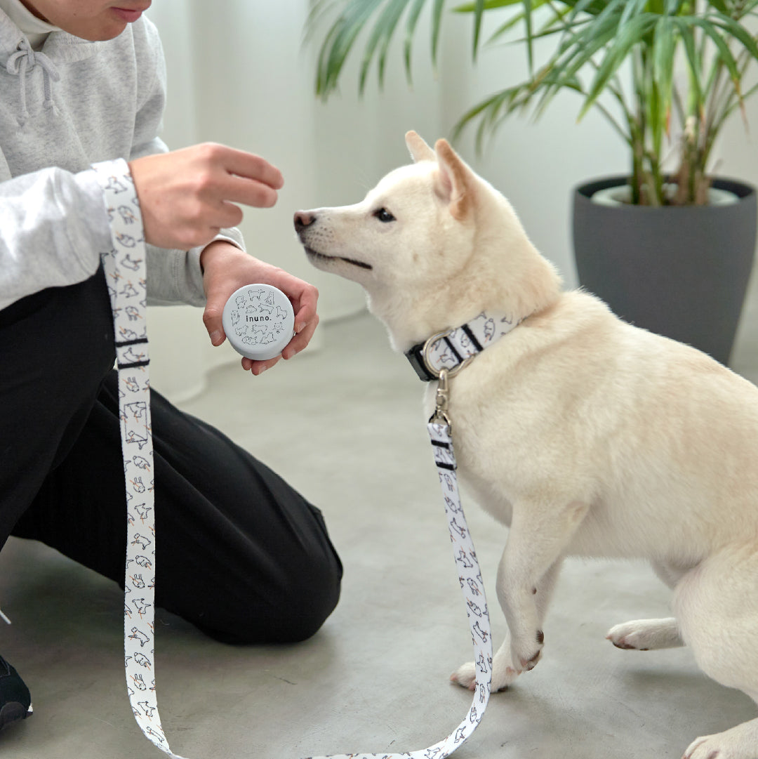 inuno. × 湖中そう リード 「拒否柴」ホワイト