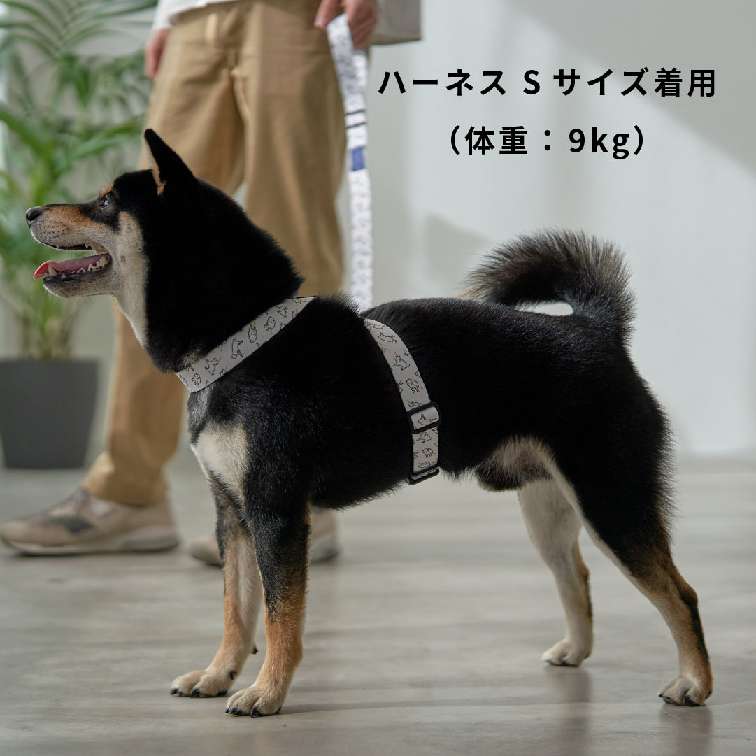 inuno. × 湖中そう 8の字型ハーネス 「拒否柴」ホワイト