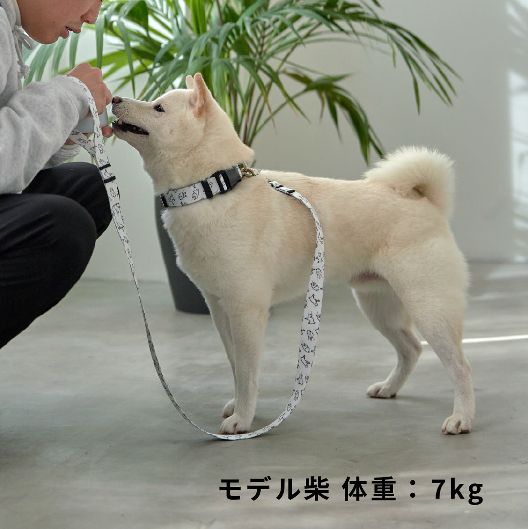 inuno. × 湖中そう 首輪 「拒否柴」ホワイト