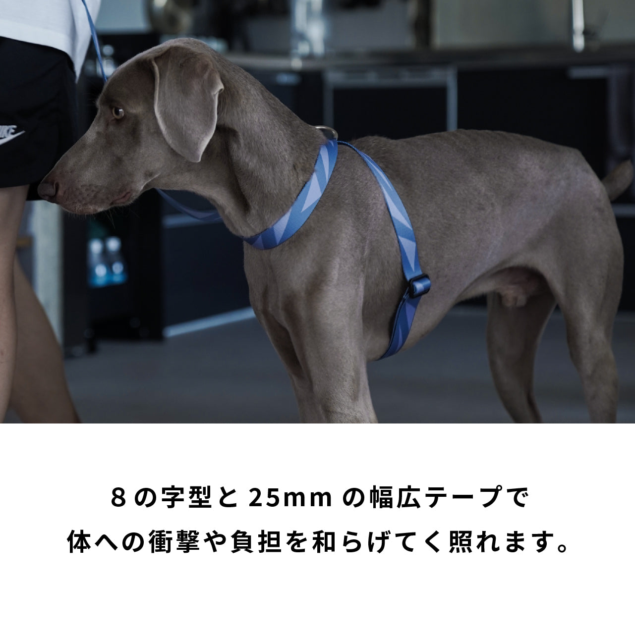 ハーネス8の字型「geometric」グレー
