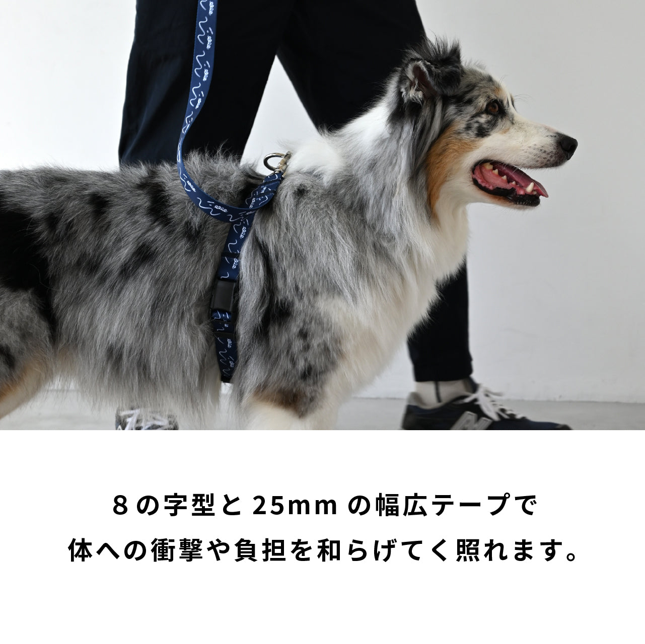 ハーネス8の字型 「dogsheds」ネイビー