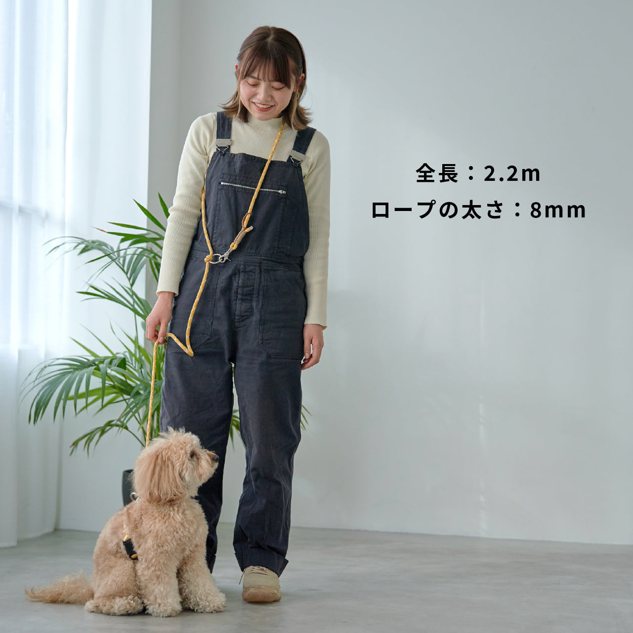 ショルダーリード(ロープ)黄金色×ホワイト