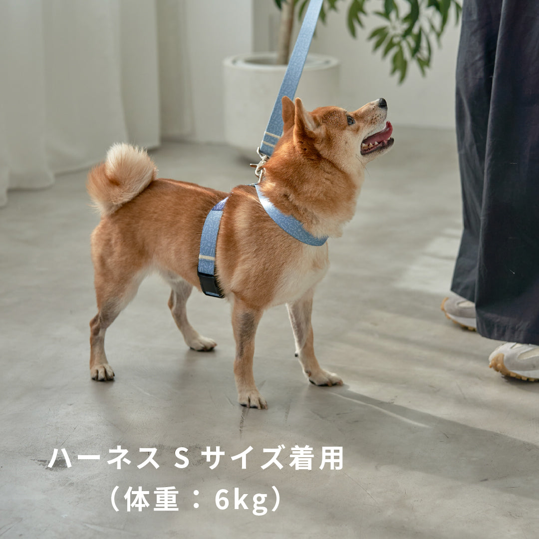 inuno. × 湖中そう 8の字型ハーネス 「柴だらけ」フィンランドブルー