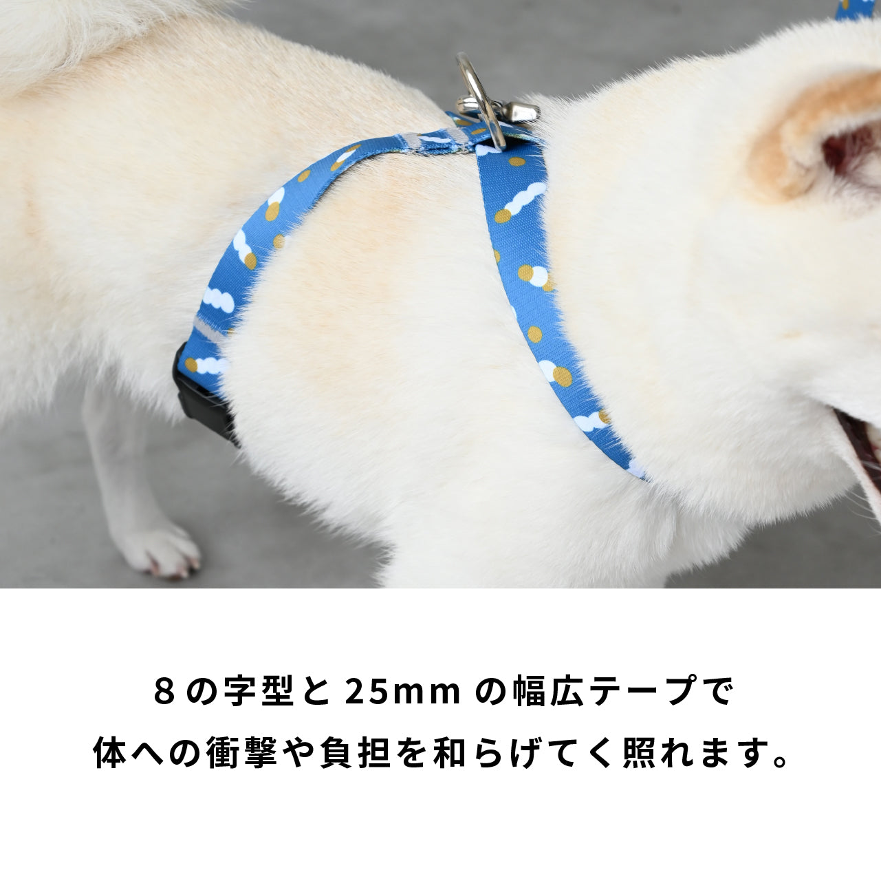 inuno. × tomokomurata 8の字型ハーネス 「movement of light」ブルー