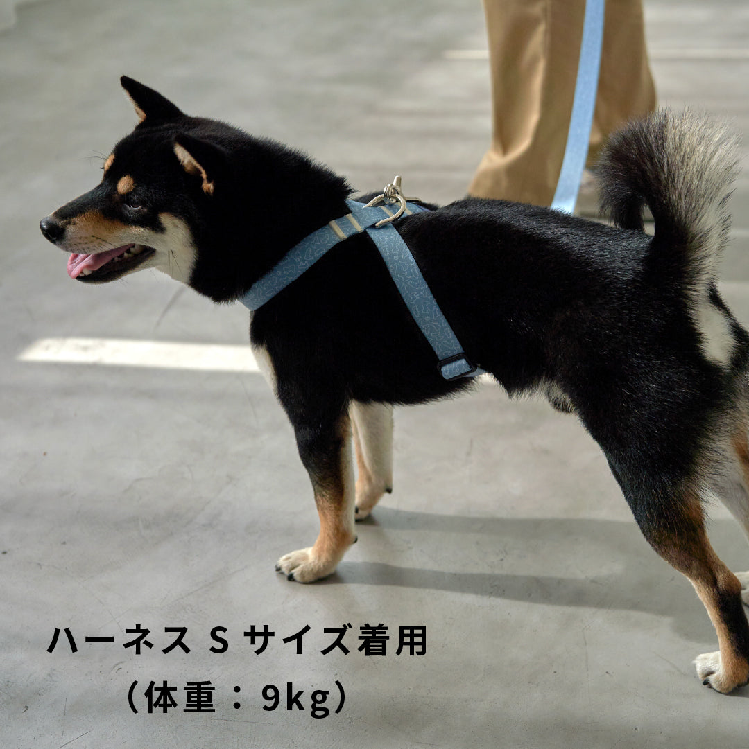 inuno. × 湖中そう 8の字型ハーネス 「柴だらけ」フィンランドブルー