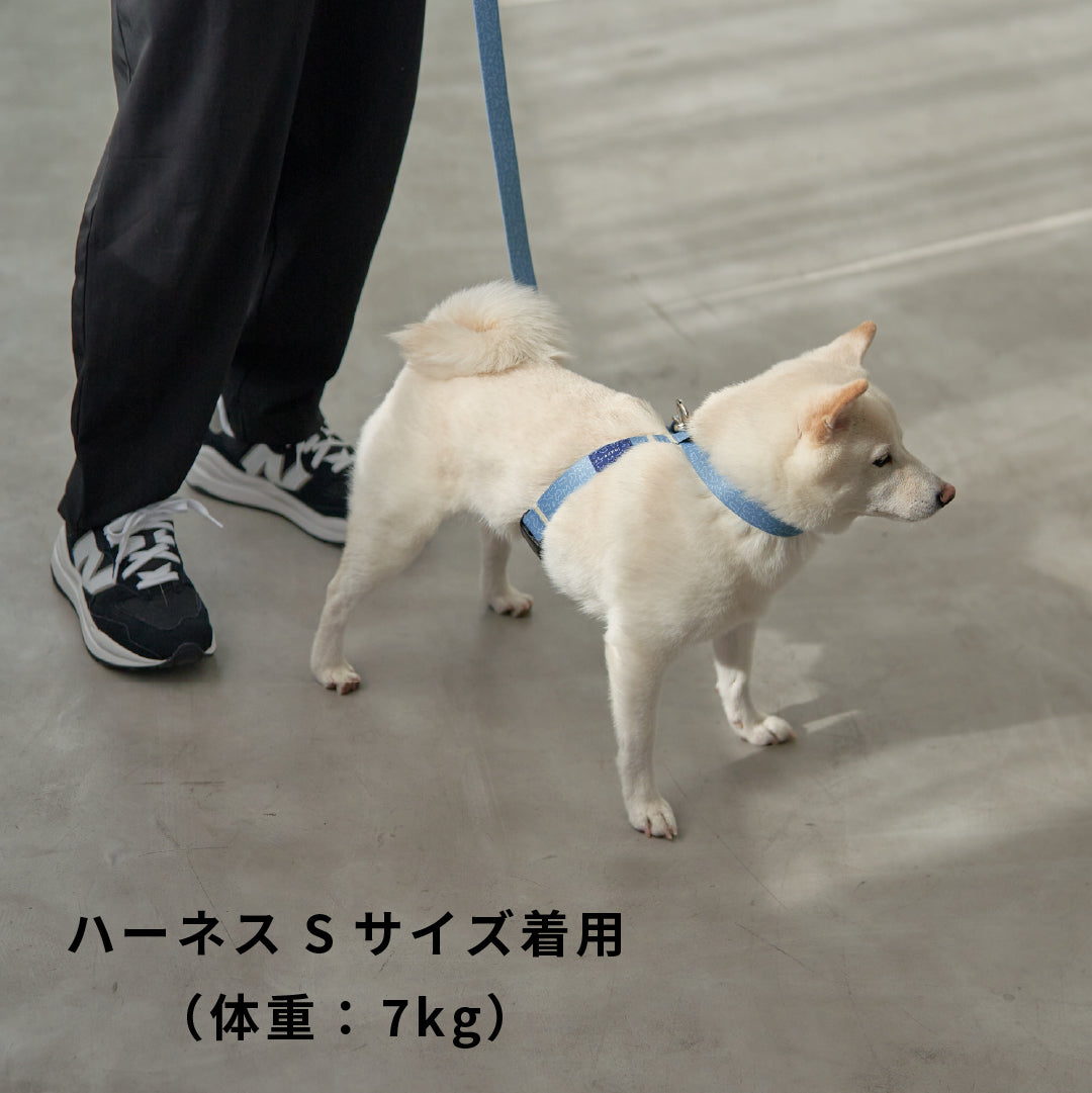 inuno. × 湖中そう 8の字型ハーネス 「柴だらけ」フィンランドブルー