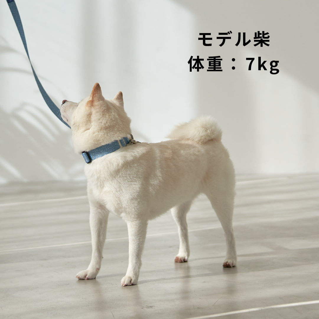 inuno. × 湖中そう 首輪 「柴だらけ」フィンランドブルー