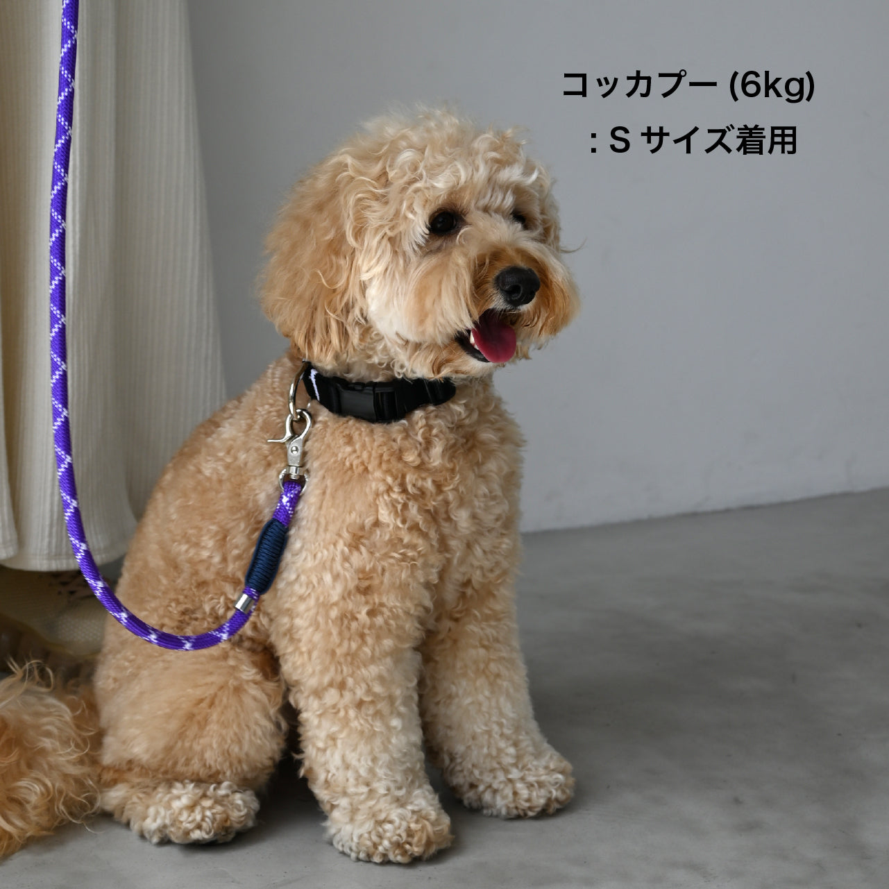 首輪 BlackEdition