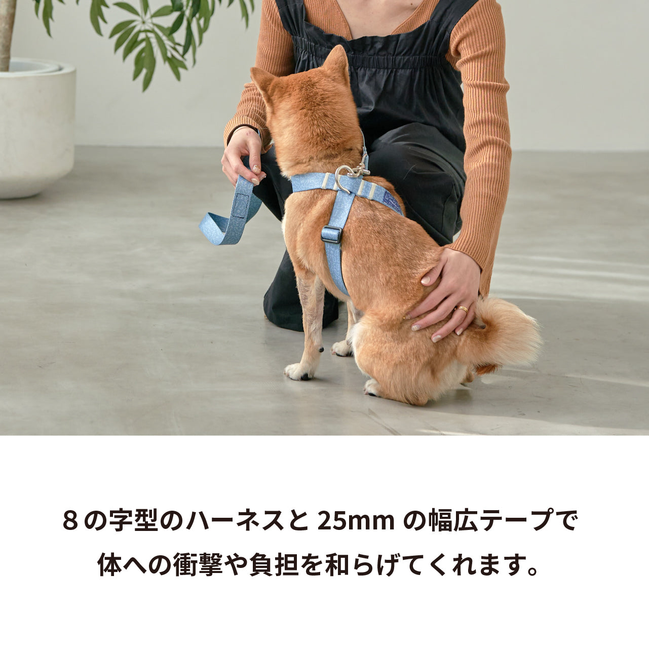 inuno. × 湖中そう 8の字型ハーネス 「柴だらけ」フィンランドブルー