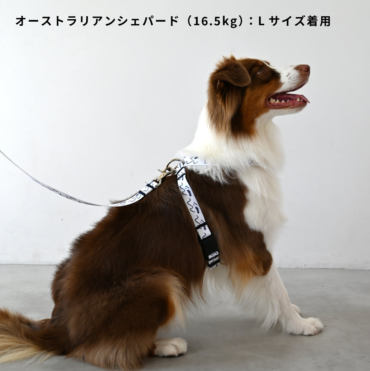 ハーネス8の字型 「dogsheds」ホワイト