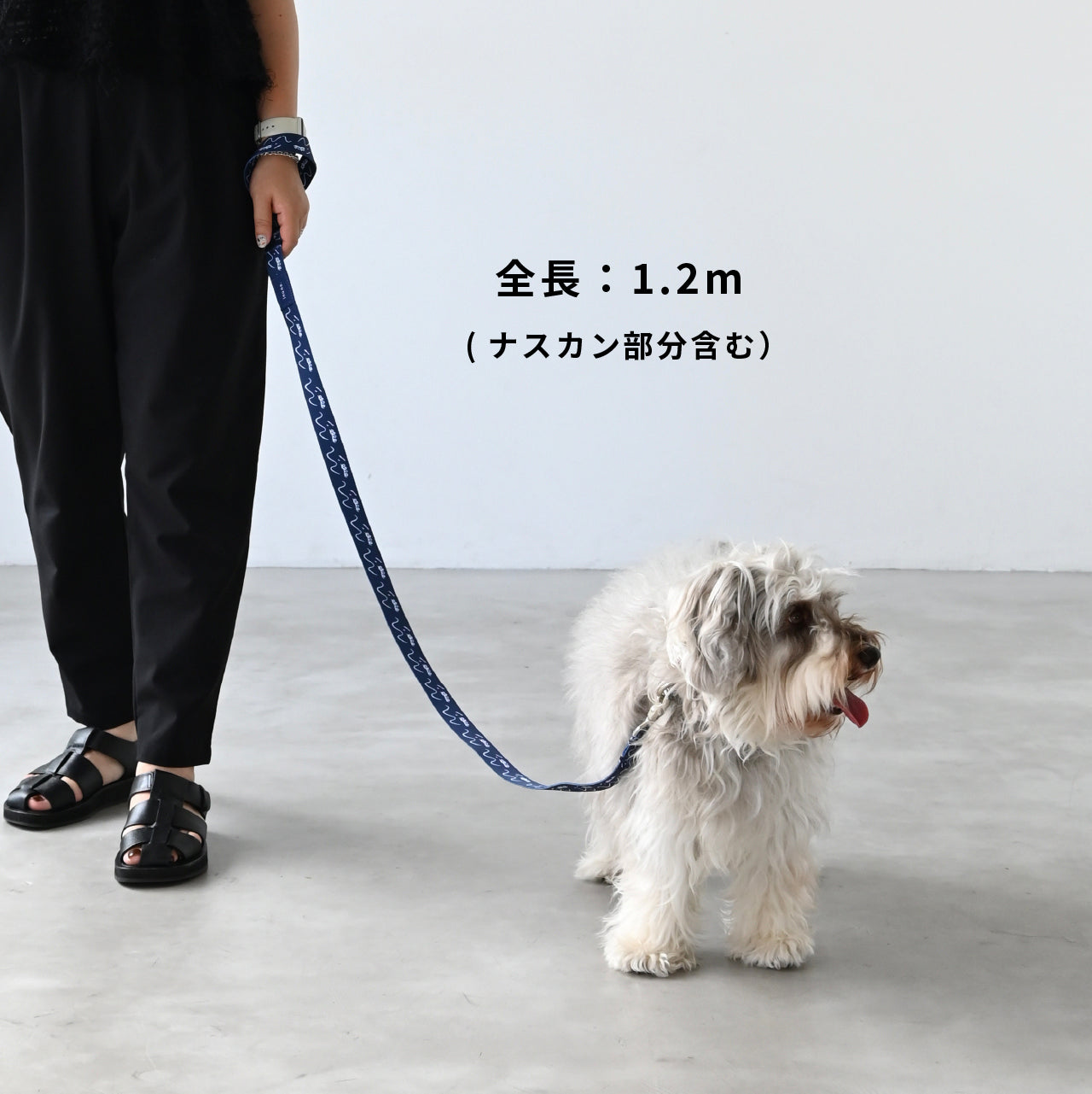 リード 「dogsheds」ネイビー