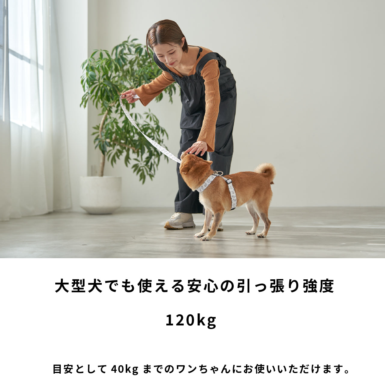 inuno. × 湖中そう リード 「拒否柴」ホワイト