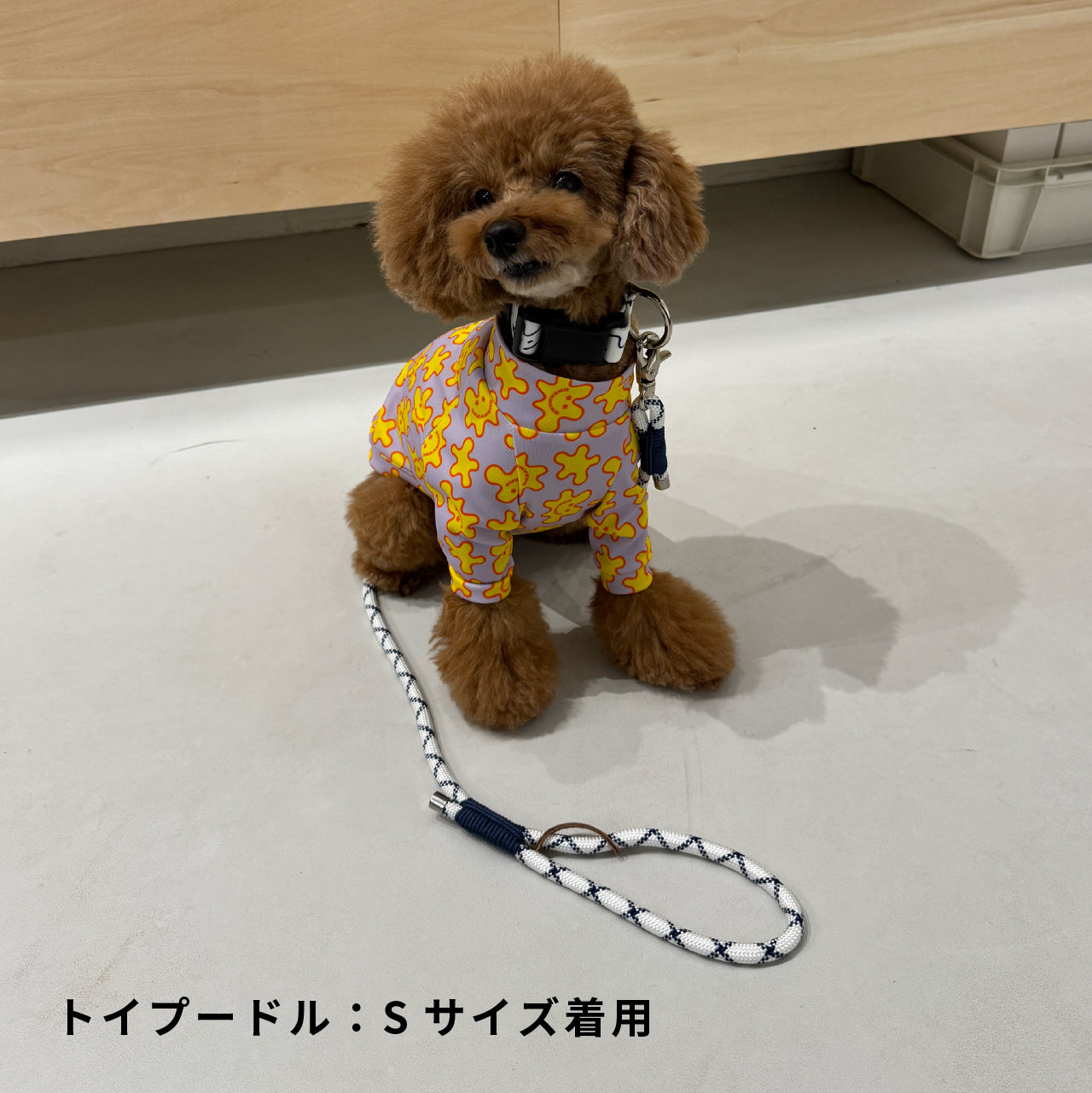 首輪 「dogsheds」ホワイト