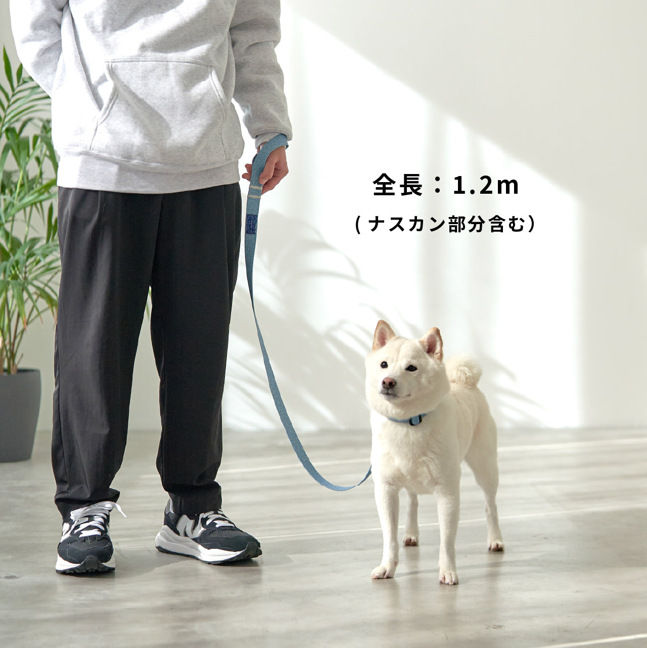 inuno. × 湖中そう リード 「柴だらけ」フィンランドブルー