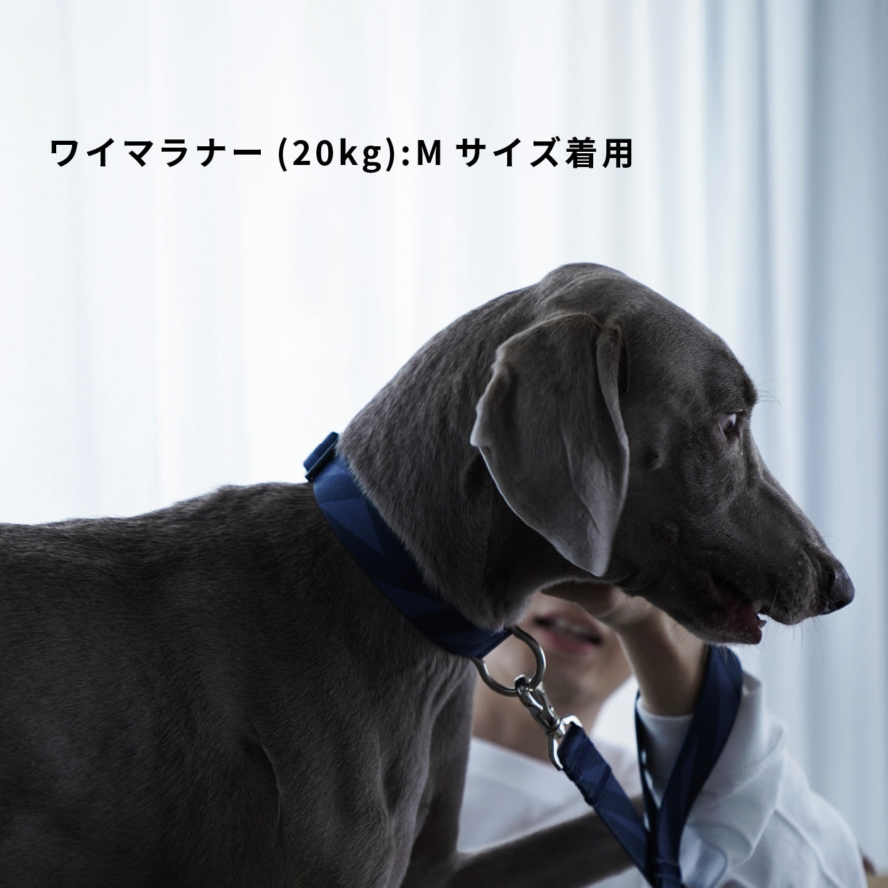 首輪「geometric」ネイビー