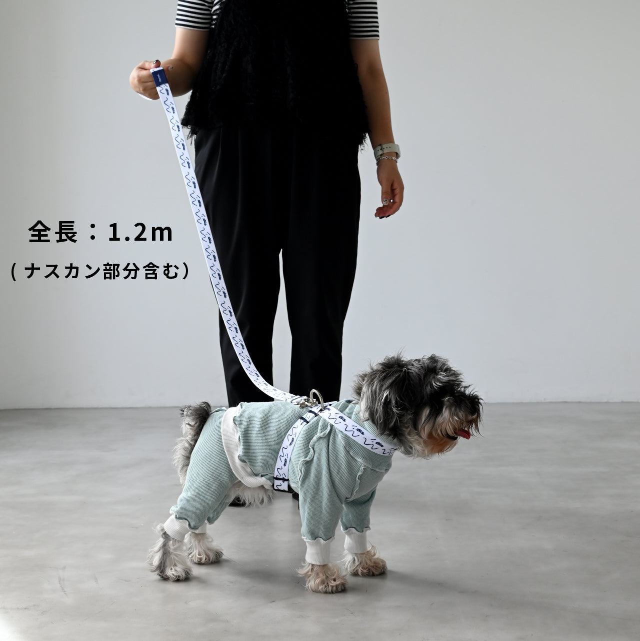 リード 「dogsheds」ホワイト