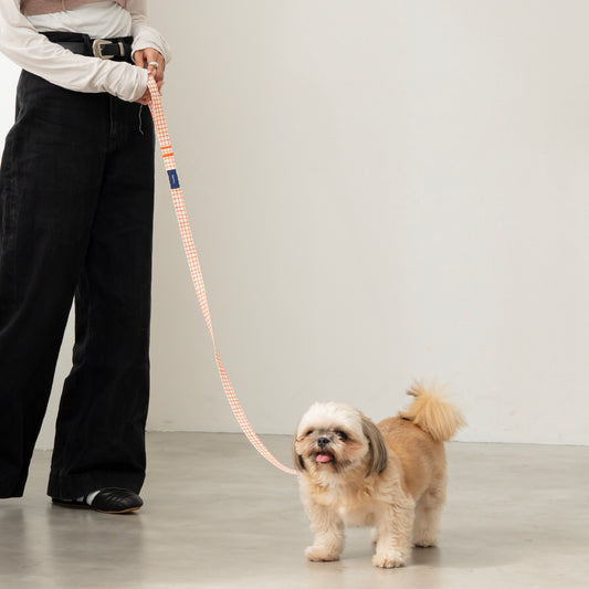 リード Windowcheck アイボリー×オレンジ