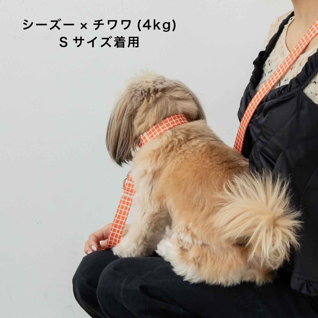 首輪 Windowcheck オレンジ×アイボリー