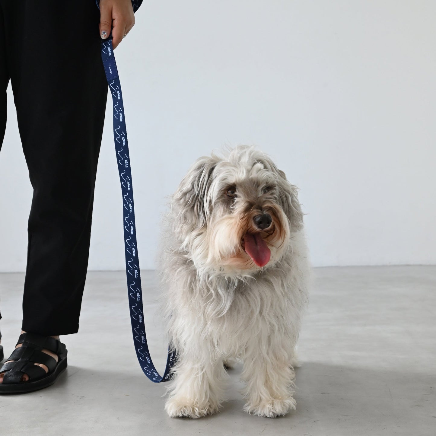 リード 「dogsheds」ネイビー