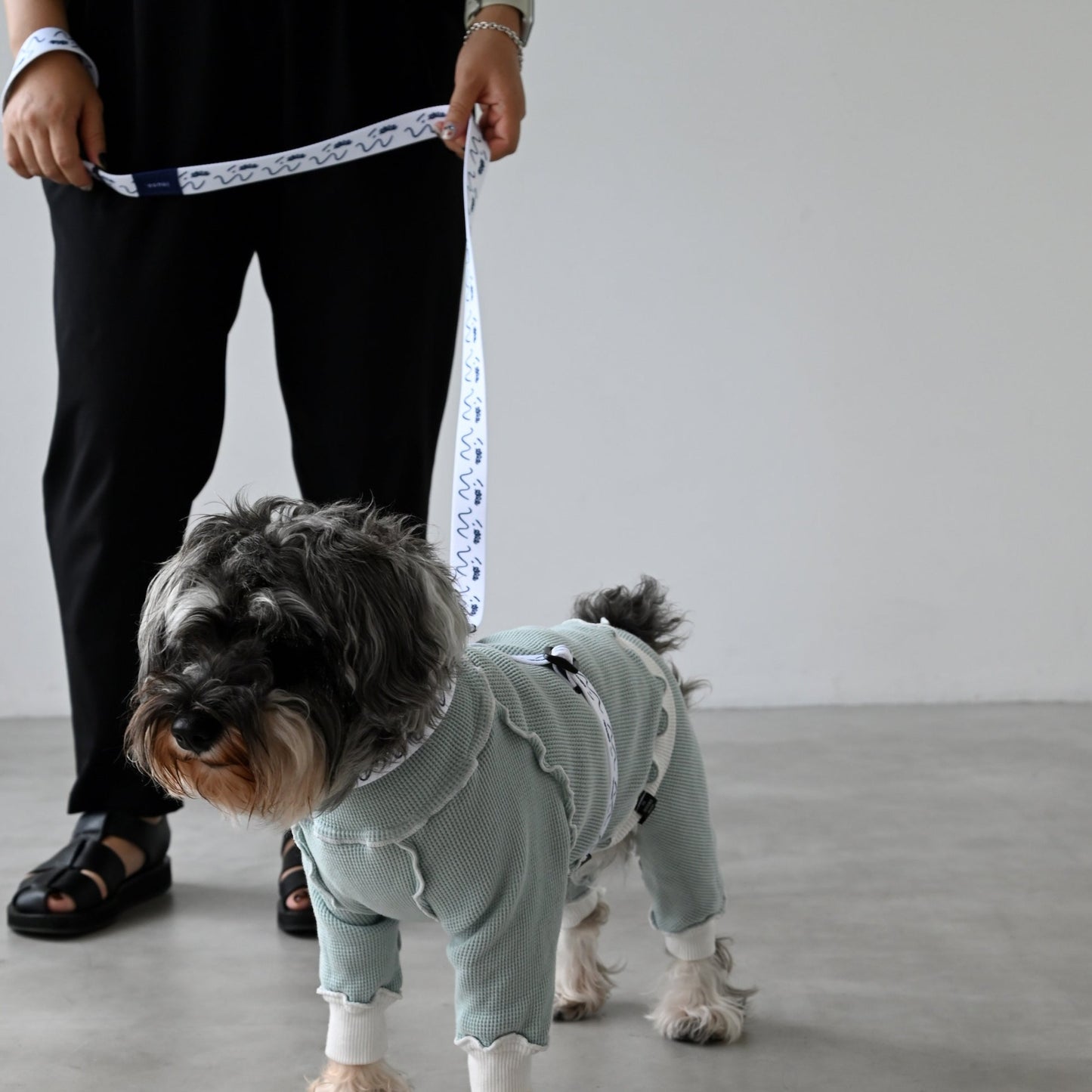 リード 「dogsheds」ホワイト