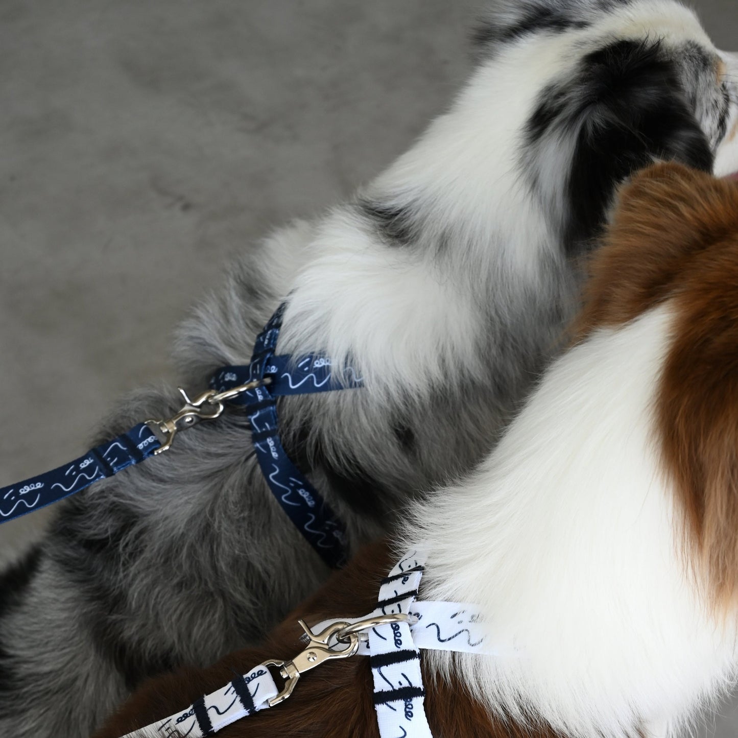 8の字ハーネス dogsheds ネイビー