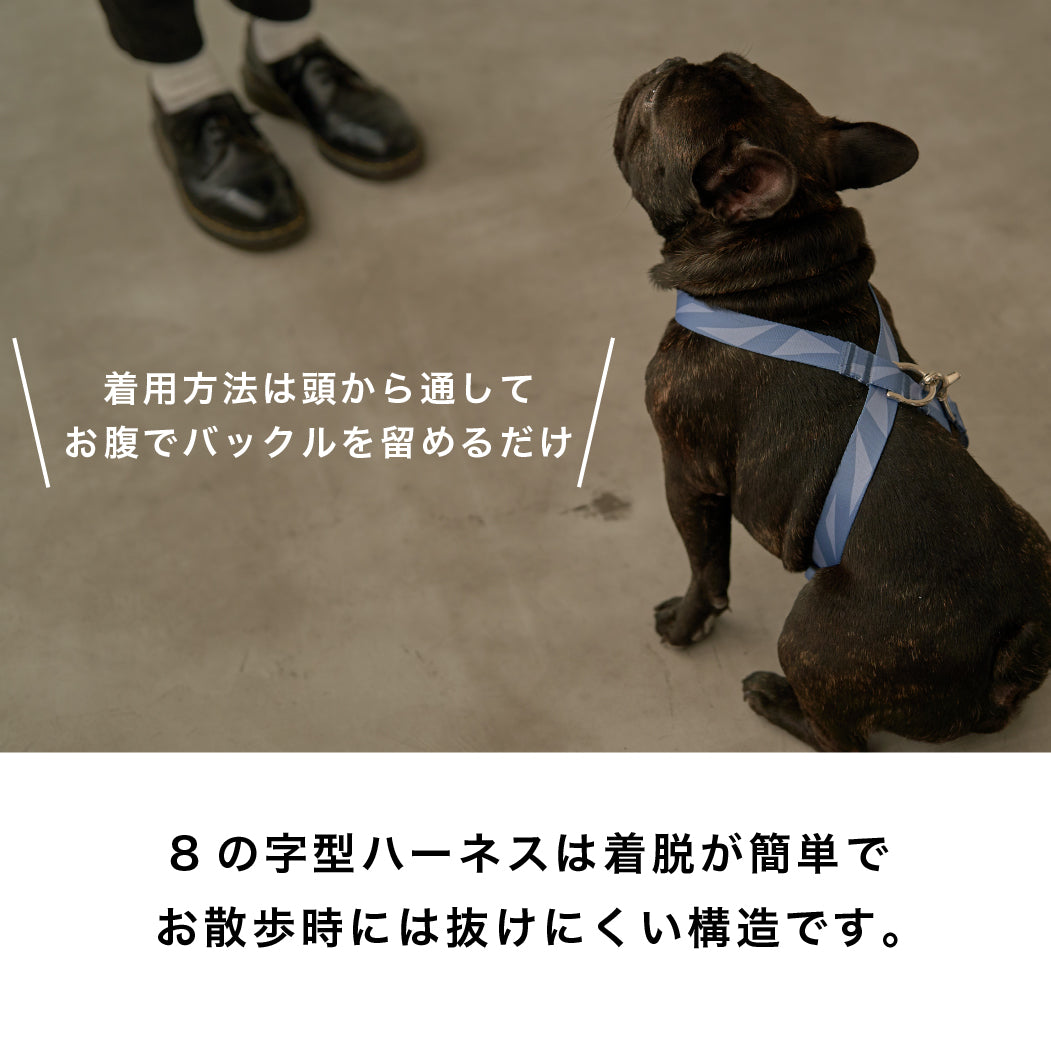 inuno. × 湖中そう 8の字型ハーネス 「拒否柴」ホワイト