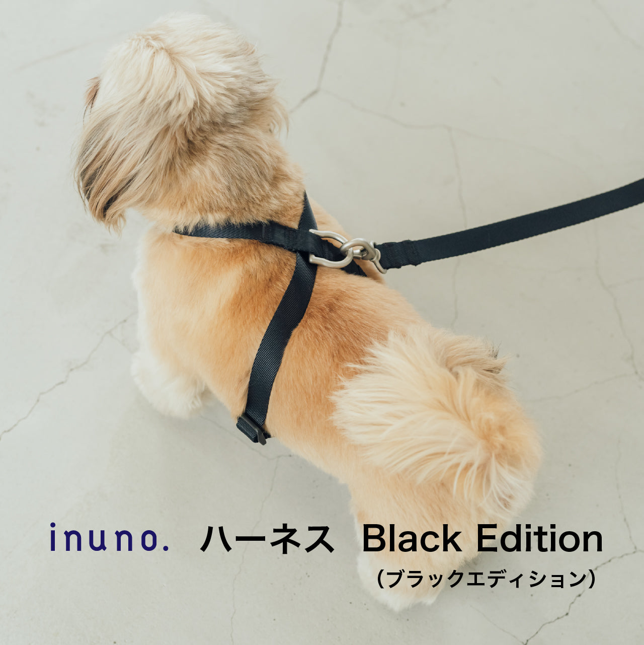 8の字ハーネス ブラックエディション