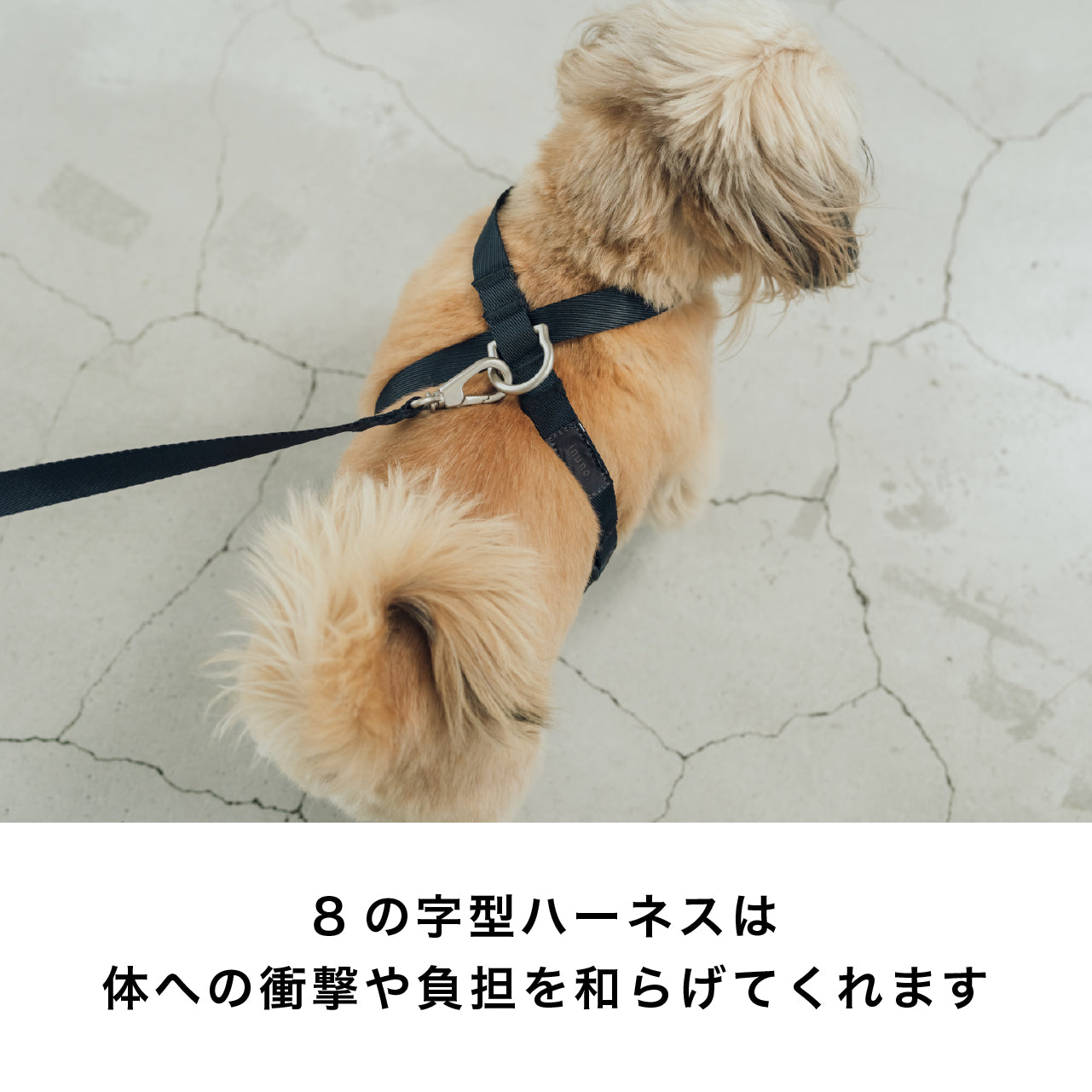 8の字ハーネス ブラックエディション
