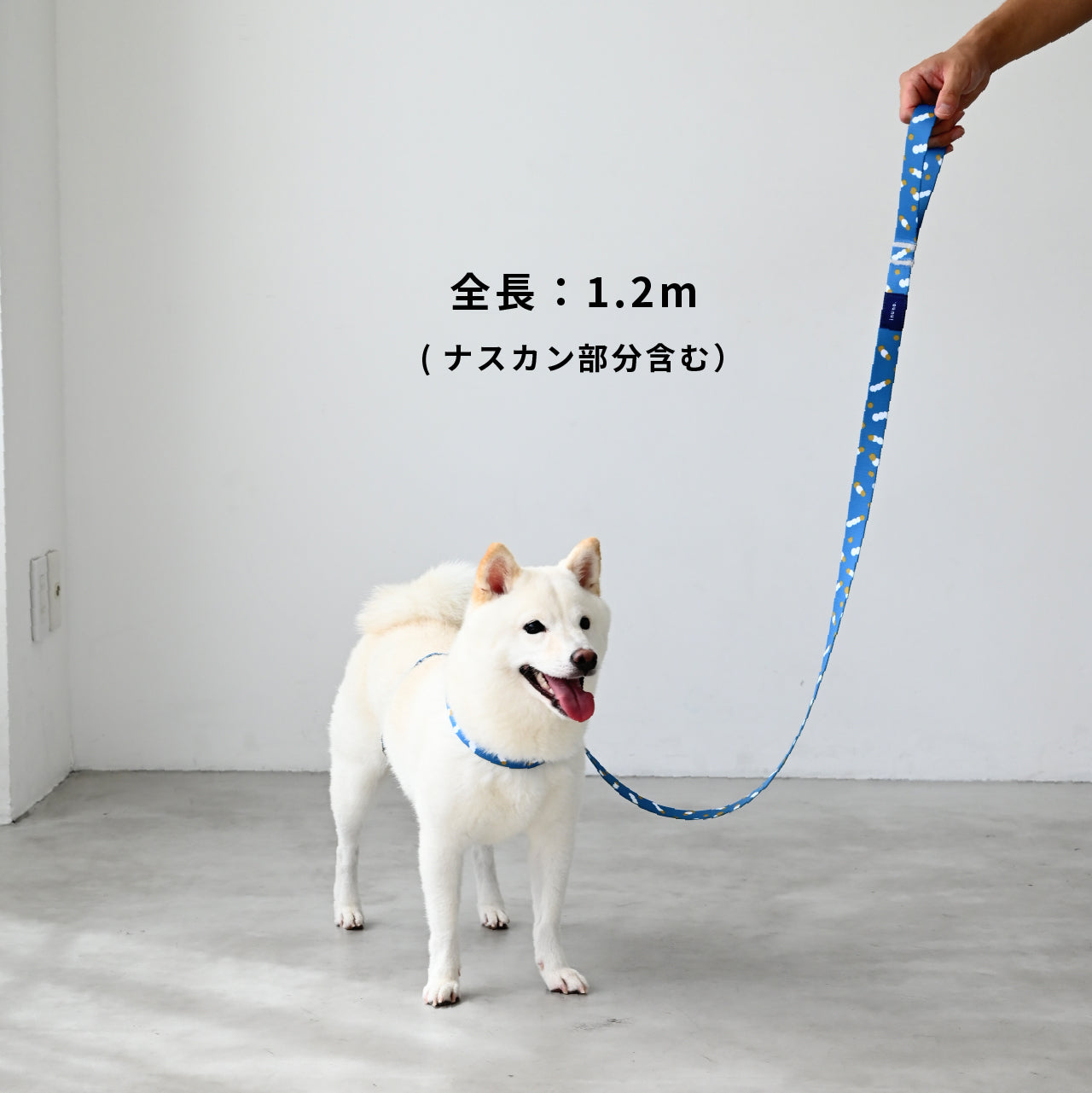 inuno. × tomokomurata リード 「movement of light」ブルー