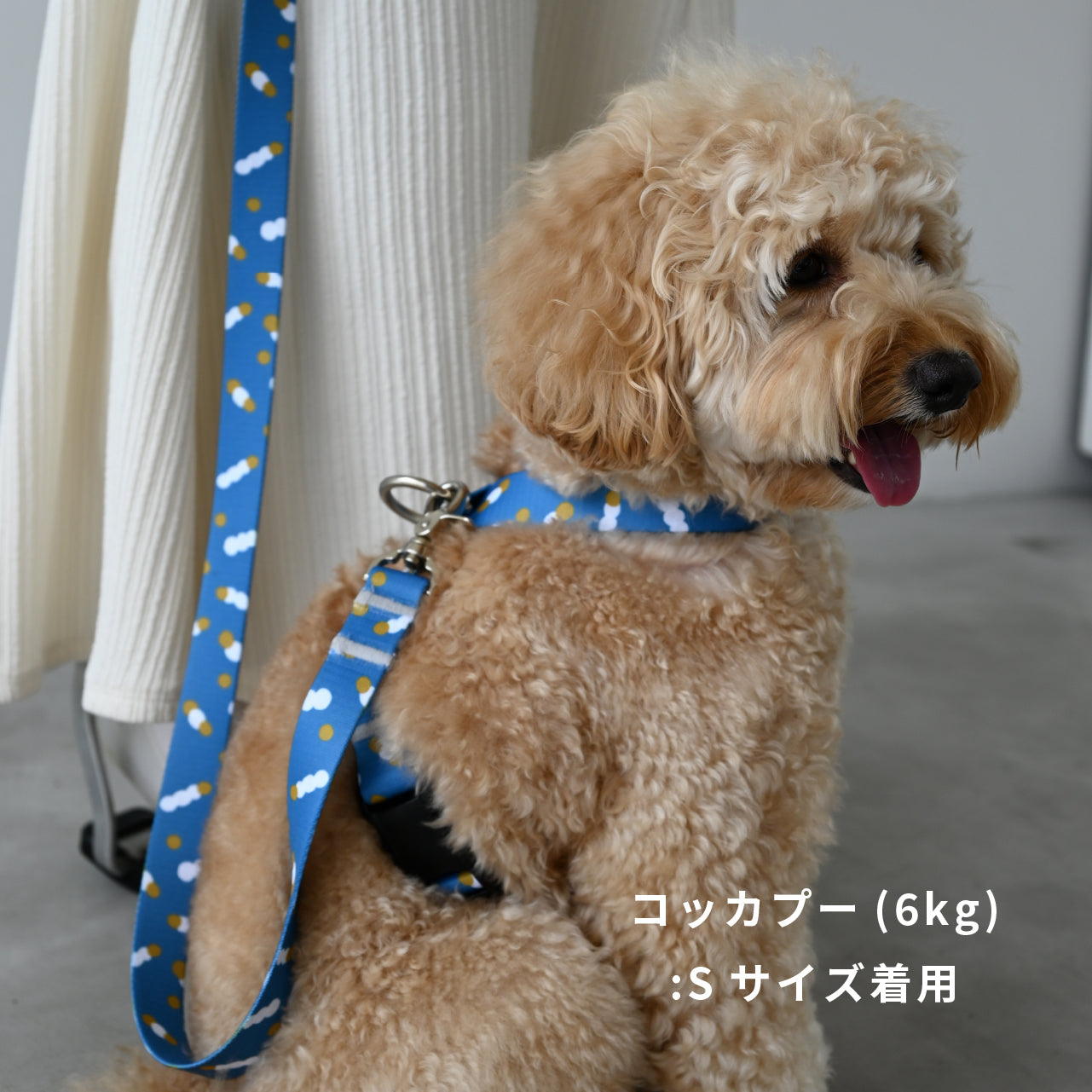 inuno. × tomokomurata 8の字型ハーネス 「movement of light」ブルー