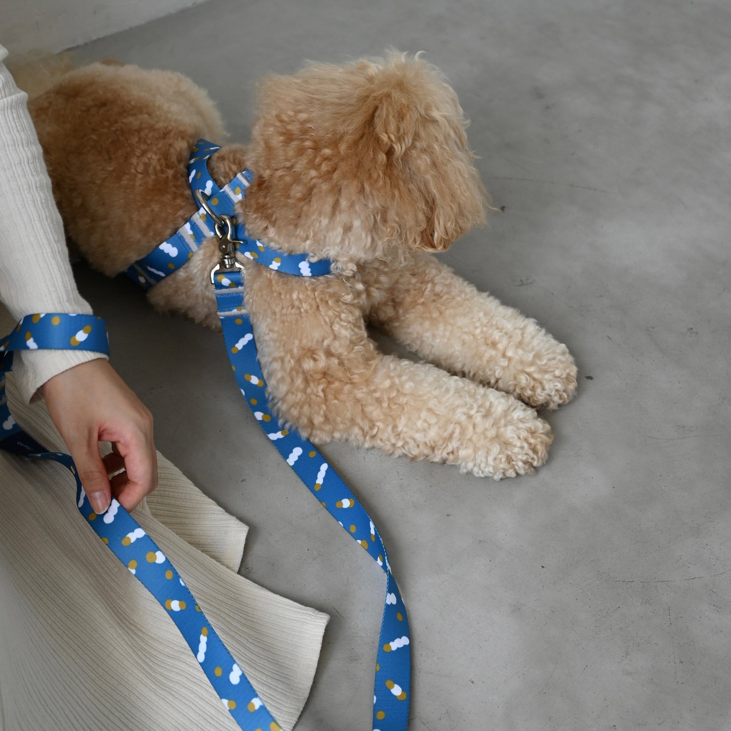 8の字ハーネス movement of light ブルー