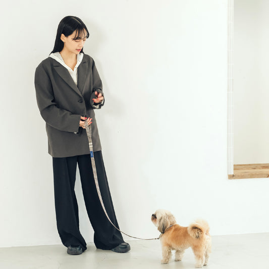 リード Windowcheck ブラウン×アイボリー