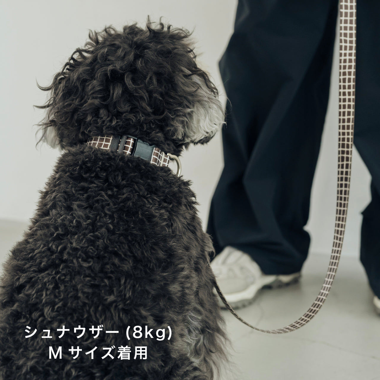 首輪 Windowcheck ブラウン×アイボリー