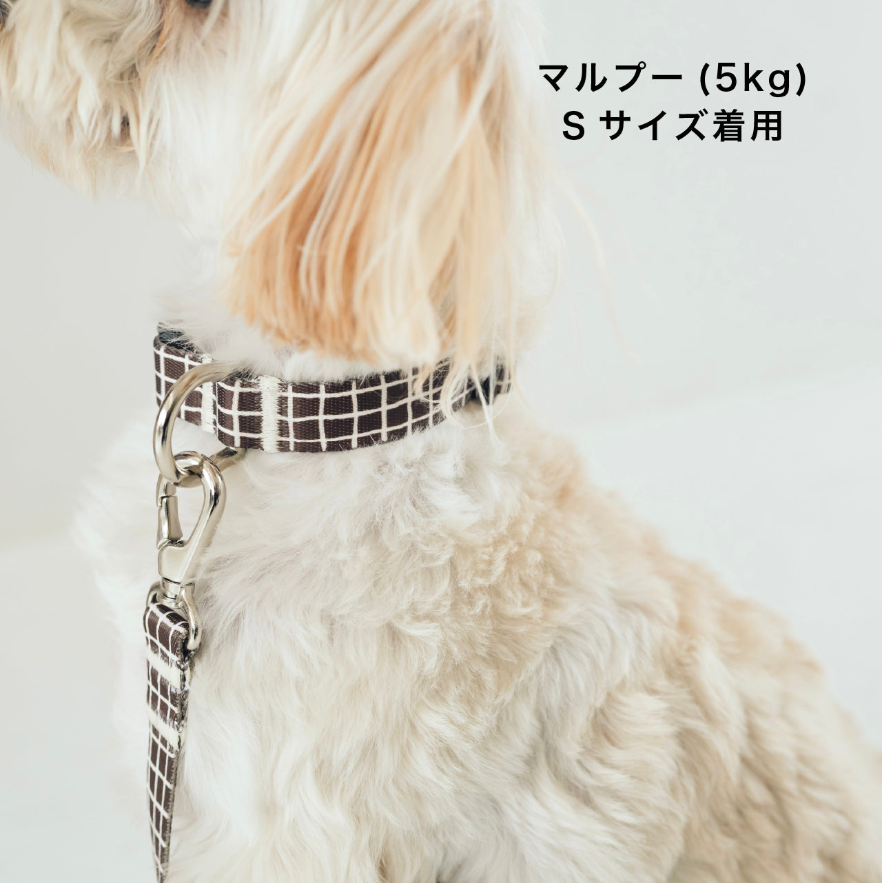 首輪 Windowcheck ブラウン×アイボリー