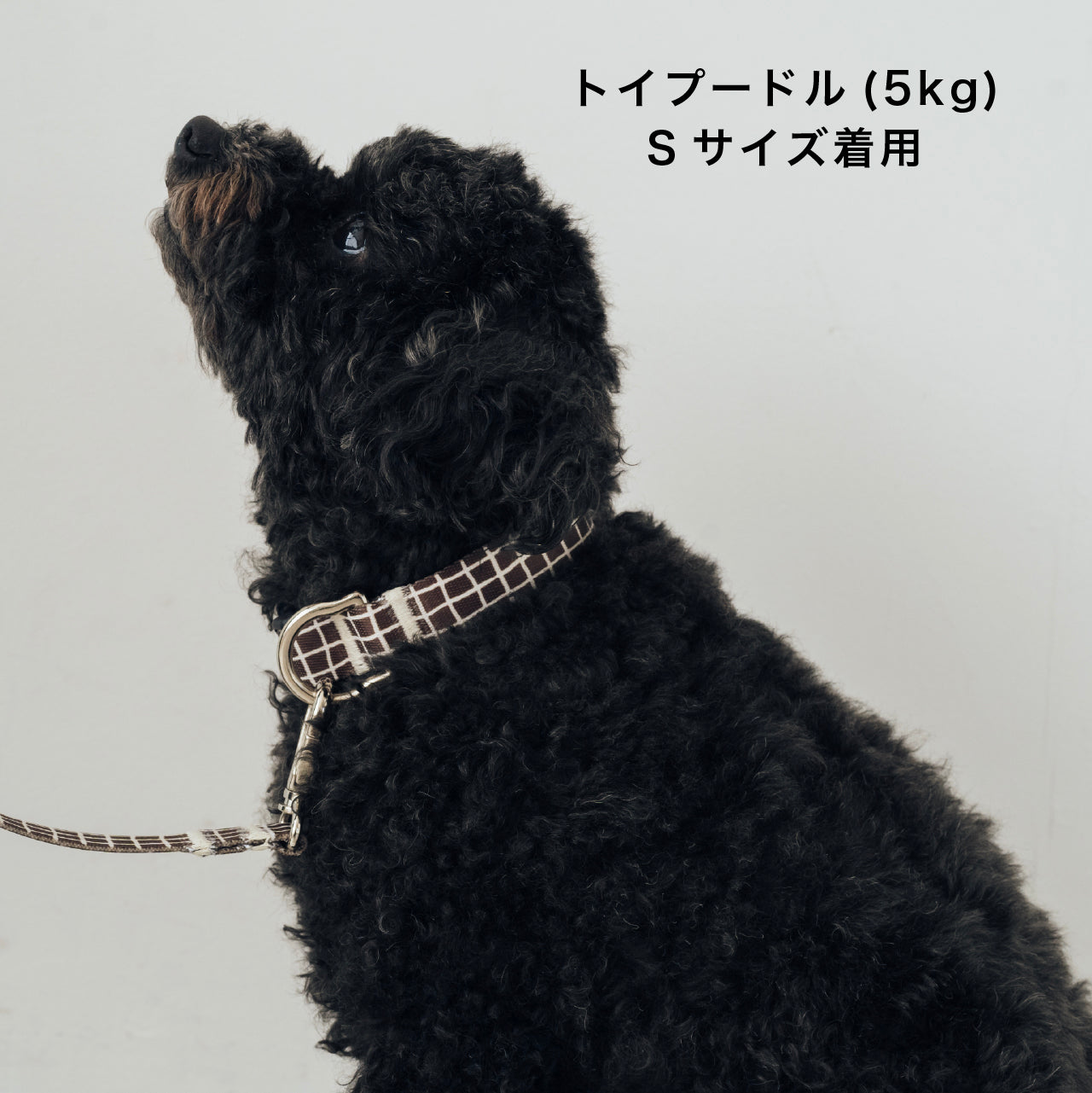 首輪 Windowcheck ブラウン×アイボリー