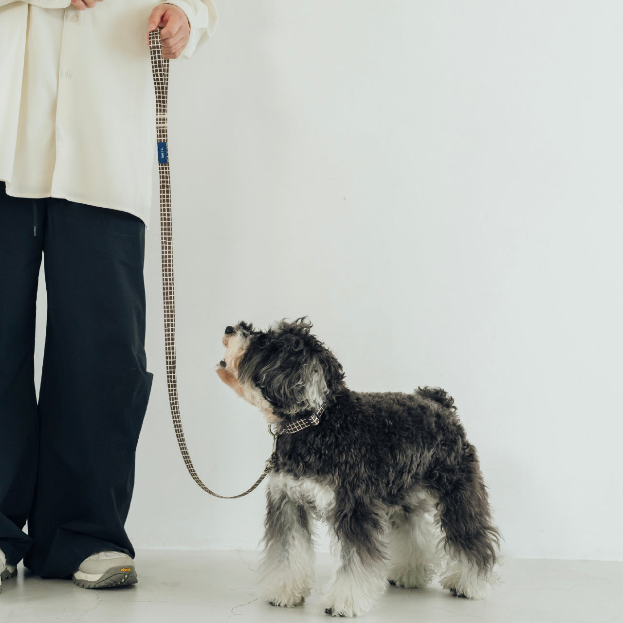 リード Windowcheck ブラウン×アイボリー