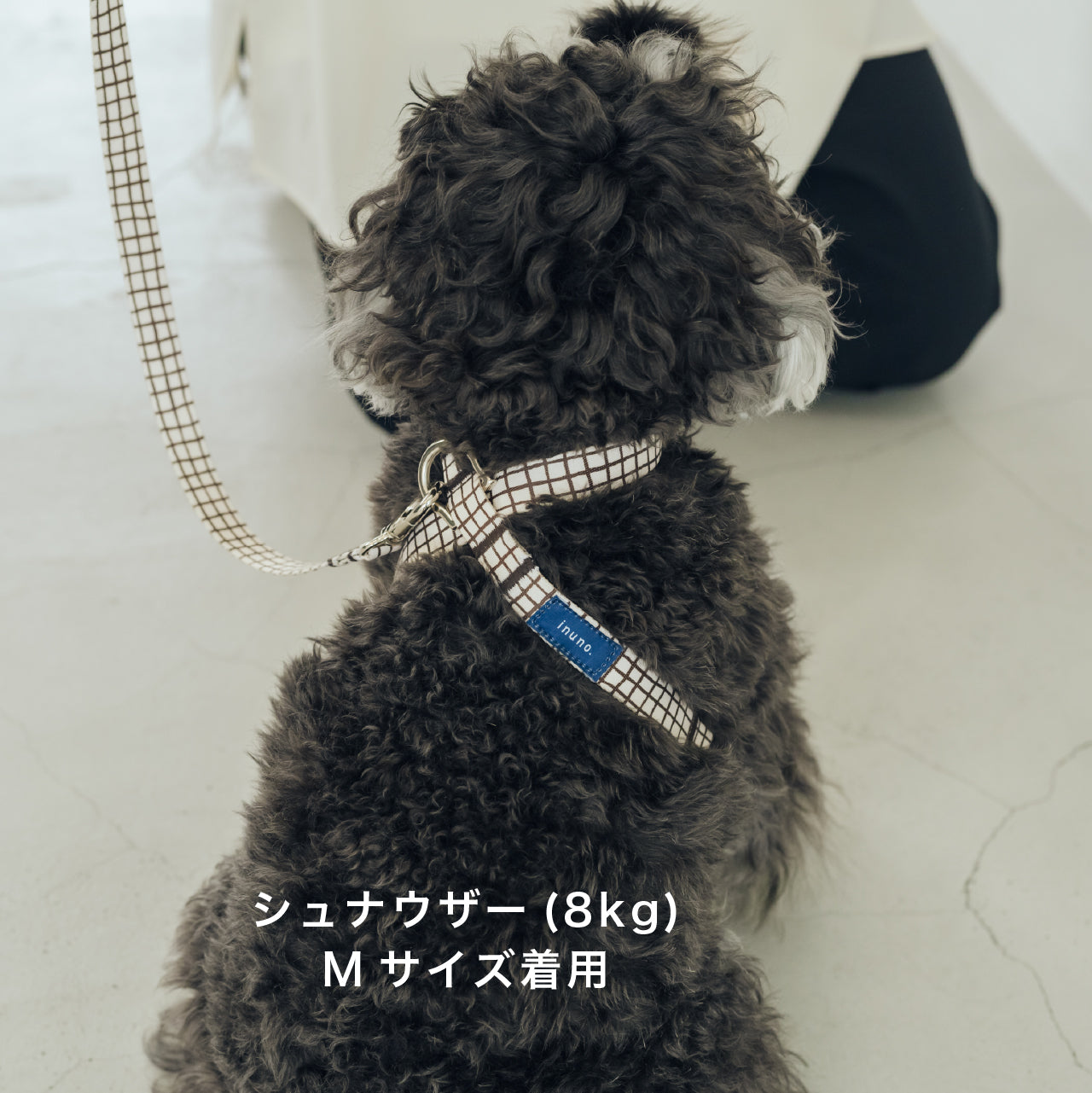 8の字ハーネス Windowcheck アイボリー×ブラウン