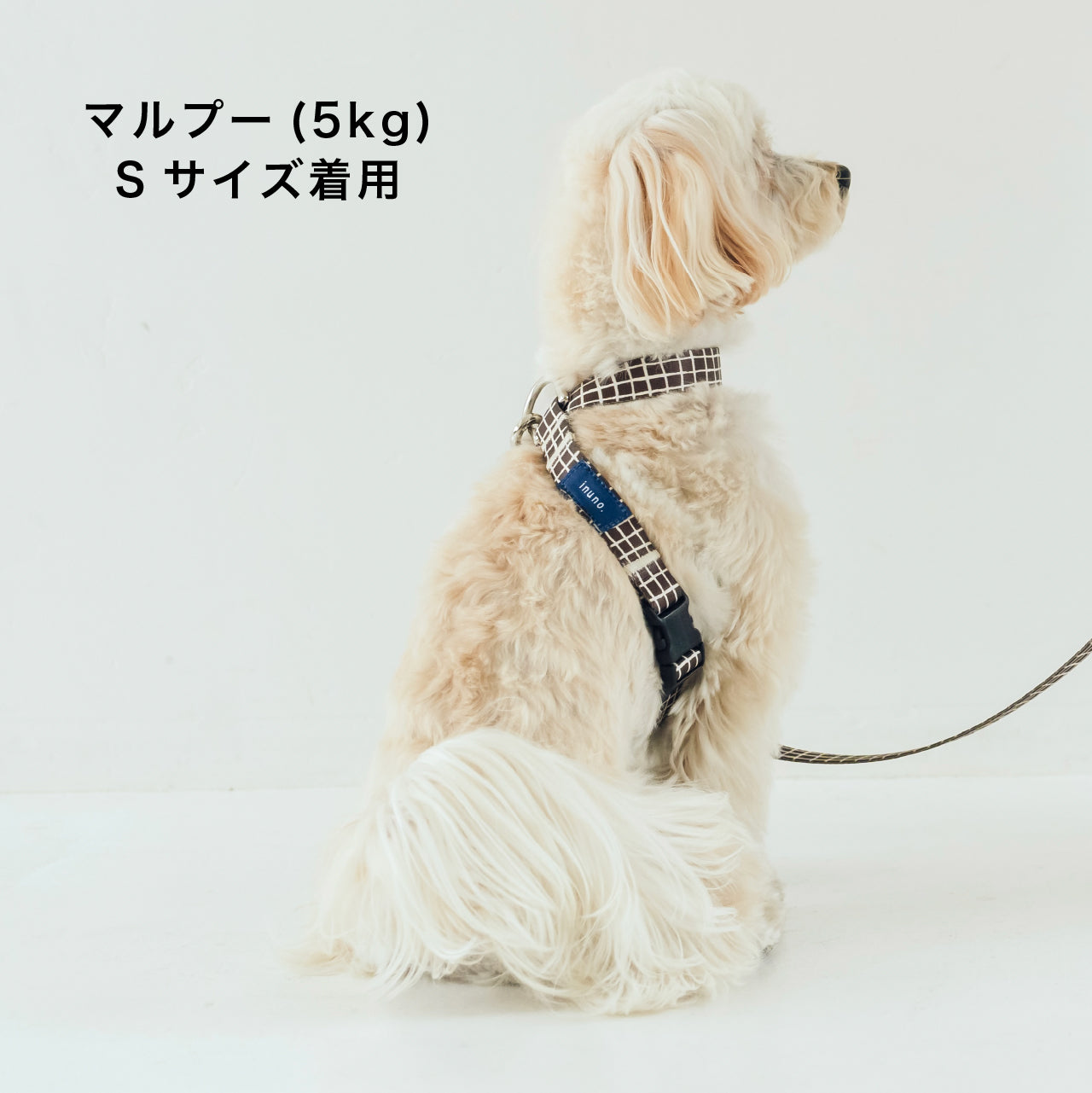 8の字ハーネス Windowcheck ブラウン×アイボリー