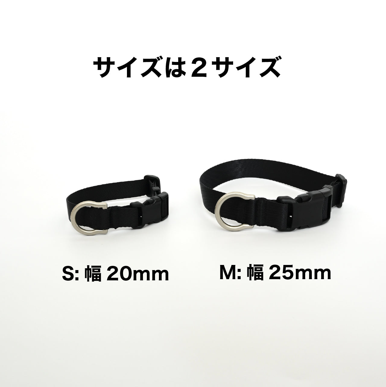 首輪 ブラックエディション2025