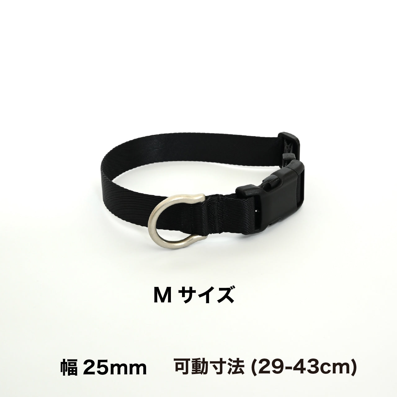 首輪 ブラックエディション2025
