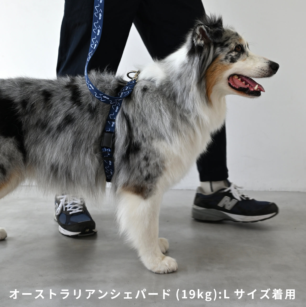 ハーネス8の字型 「dogsheds」ネイビー
