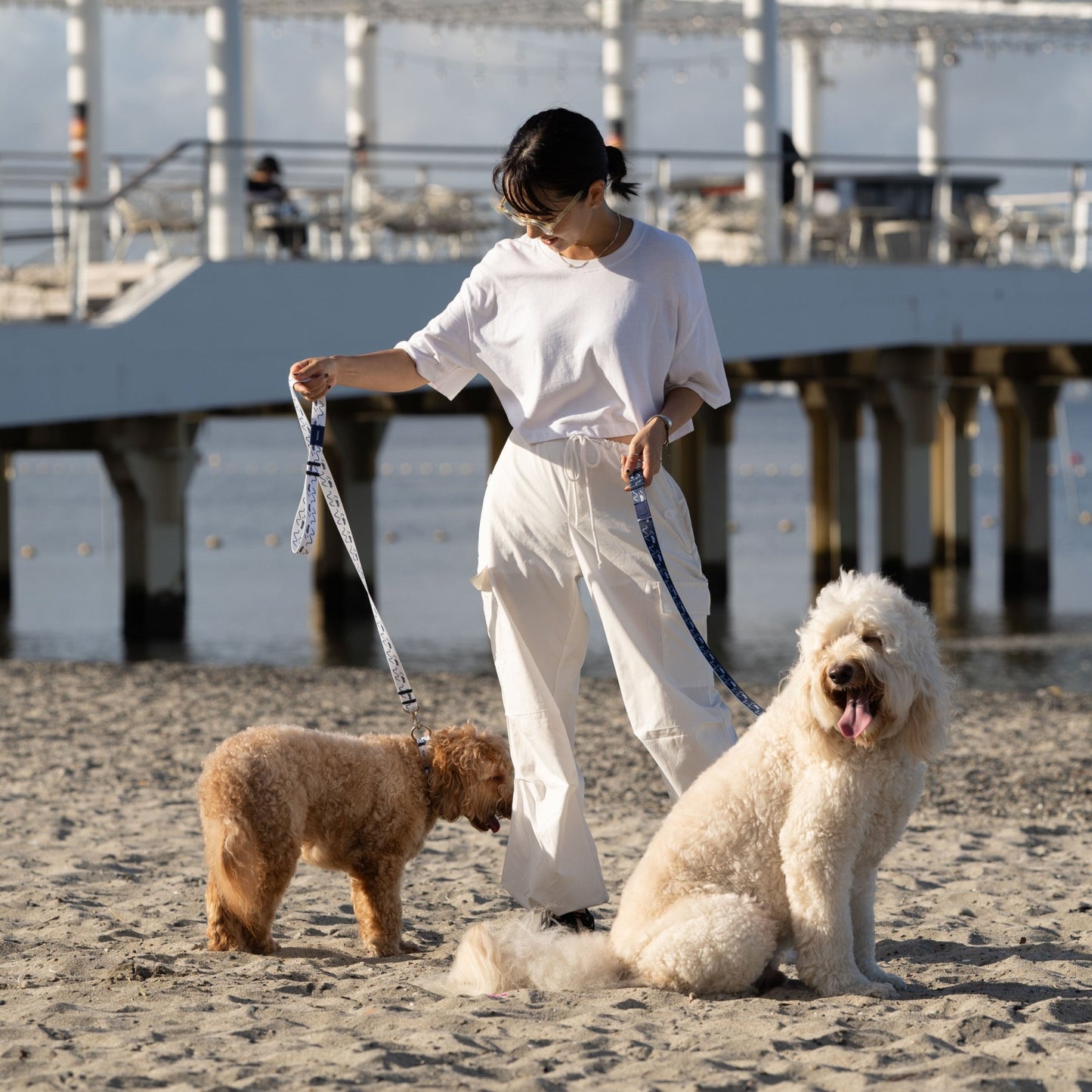 リード 「dogsheds」ホワイト
