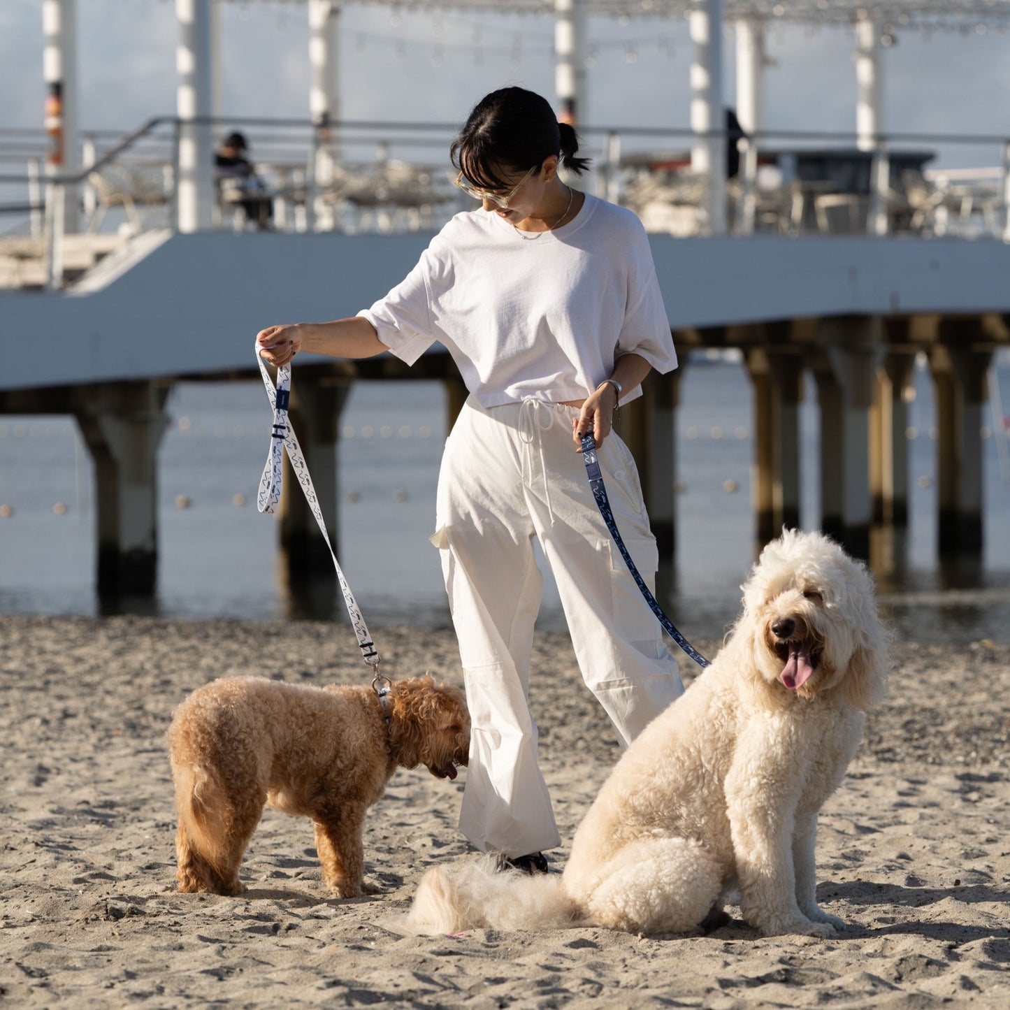 リード 「dogsheds」ネイビー
